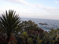 c0130986_21184677.jpg