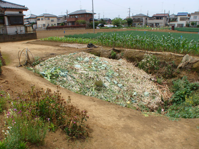 e0008586_2215553.jpg