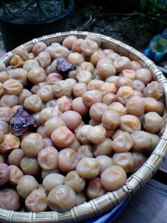 f0085291_182312.jpg