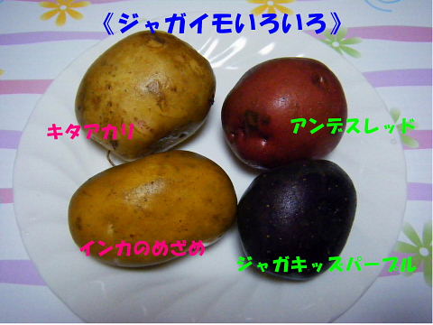 b0104592_2124254.jpg