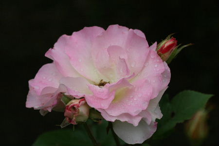 f0041606_1840967.jpg