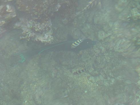 e0123808_23411754.jpg