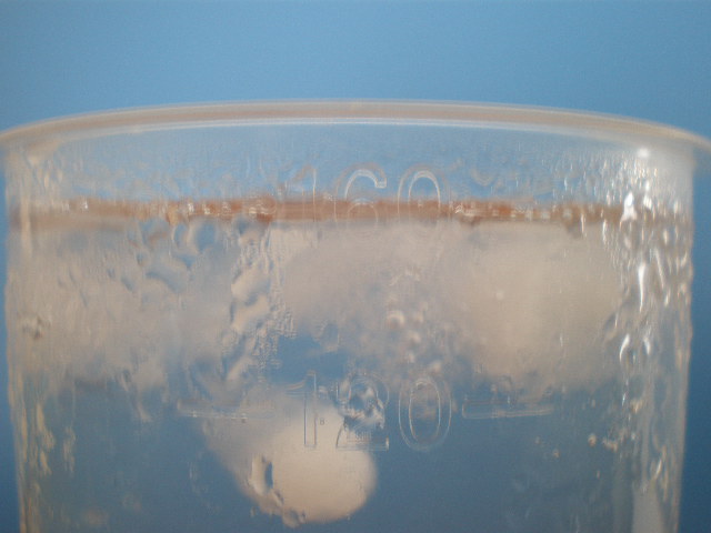 f0100920_1091847.jpg