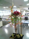 a0052621_20314666.jpg