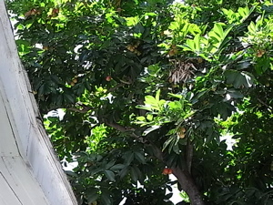 f0169328_8221412.jpg