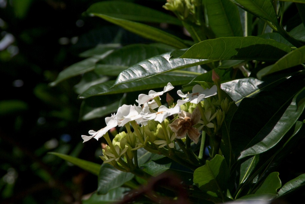 d0053930_6483334.jpg