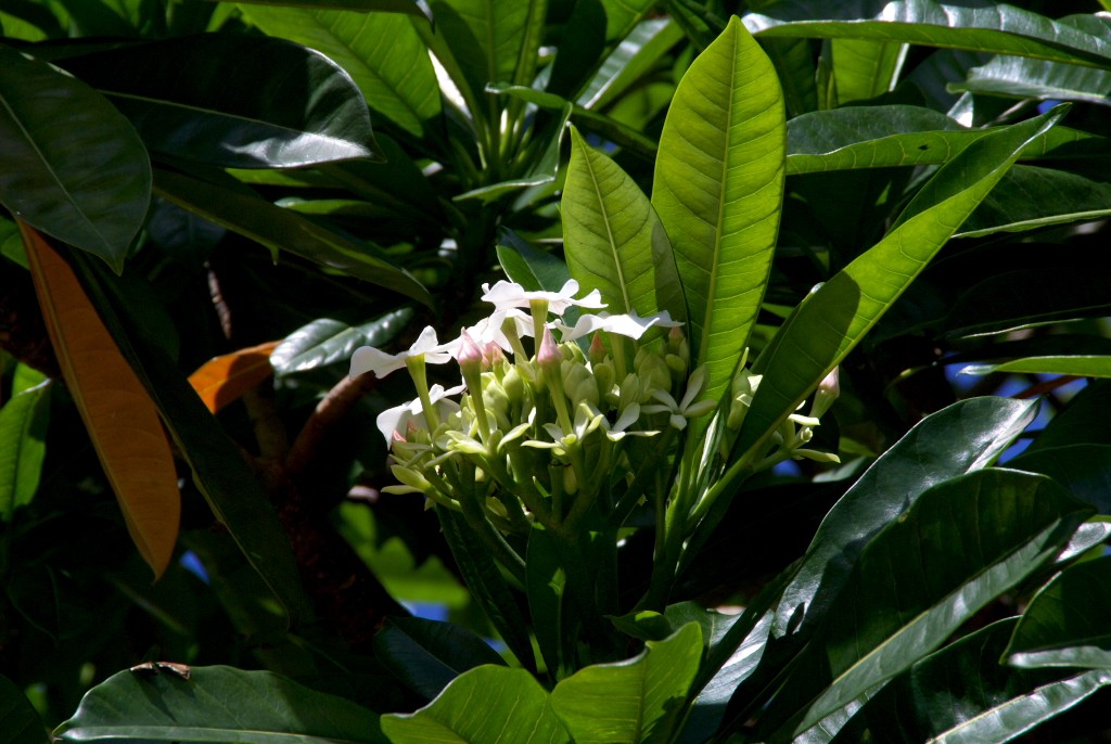d0053930_6484910.jpg