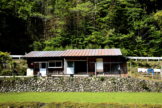 d0147530_613852.jpg