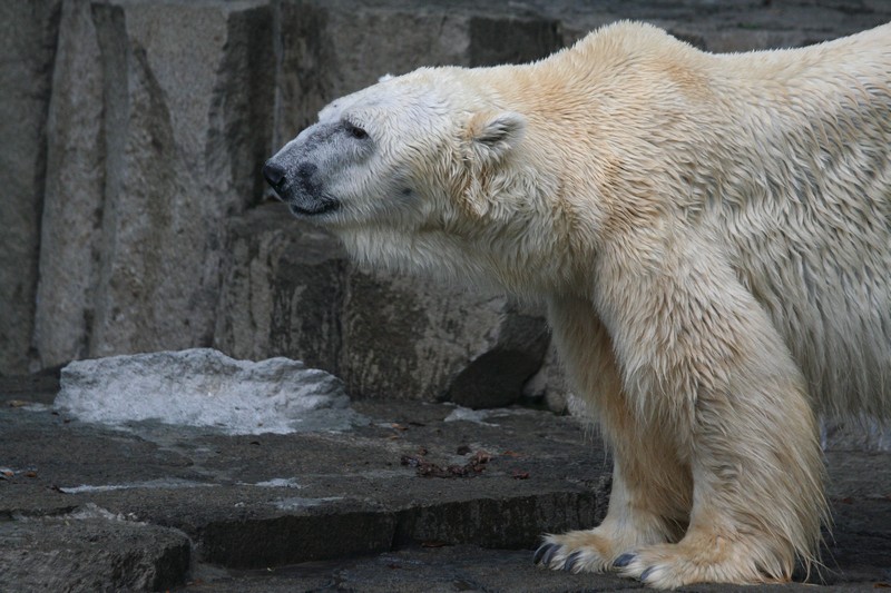 f0017530_21372762.jpg