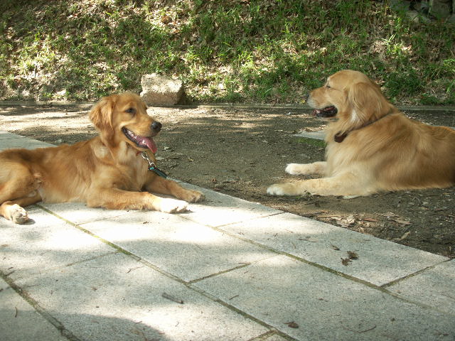 b0127531_2157355.jpg