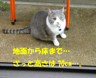 f0008935_17583798.gif