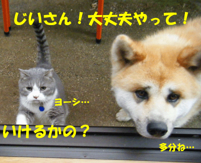 f0008935_17593748.gif