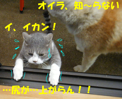 f0008935_17594987.gif