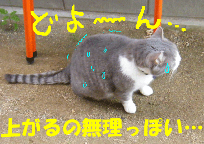 f0008935_1759929.gif