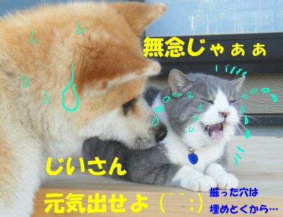 f0008935_180277.gif