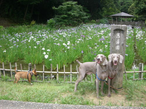 f0094843_22361379.jpg