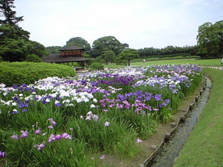 f0116546_2317328.jpg
