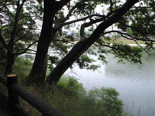 f0116546_2391529.jpg