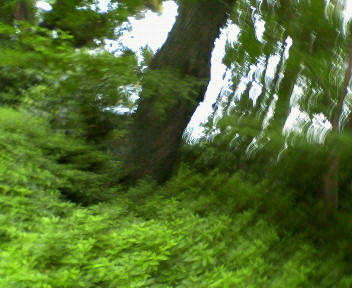 f0073848_10464026.jpg