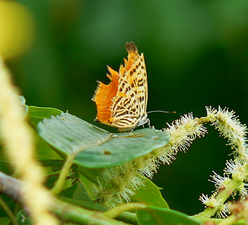 d0091754_15305317.jpg