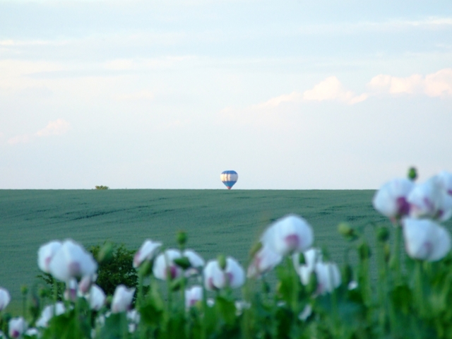e0134658_1718344.jpg