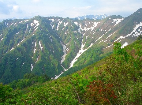c0119160_20561278.jpg
