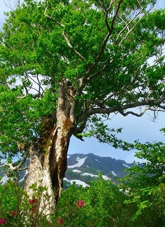 c0119160_21232175.jpg