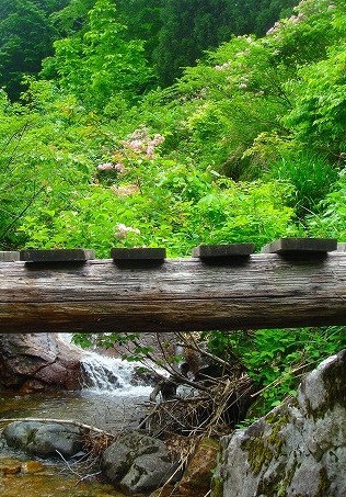 c0119160_2262862.jpg