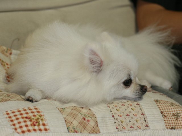 d0054461_20245971.jpg