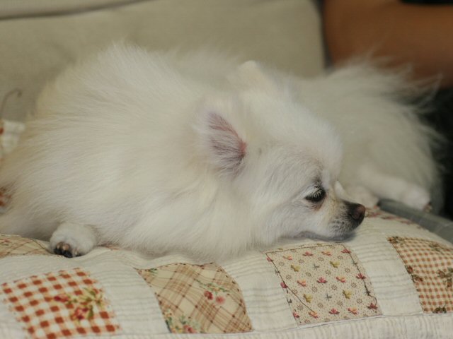 d0054461_20251442.jpg