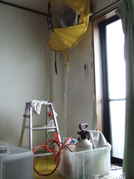 d0034765_1710371.jpg