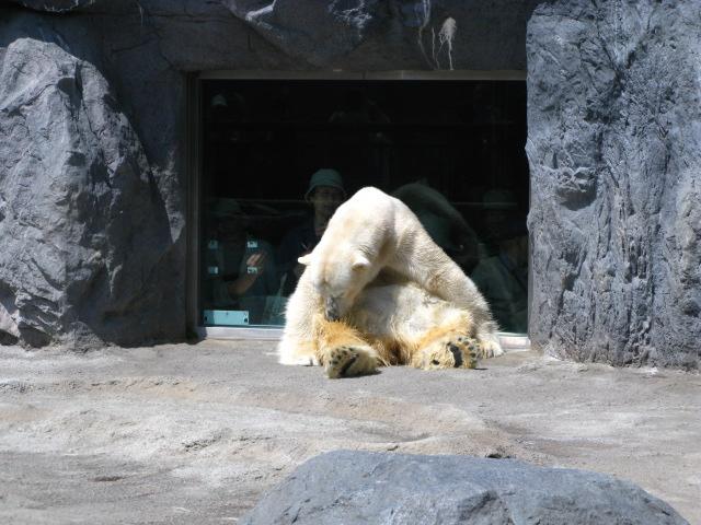 e0085672_1495487.jpg