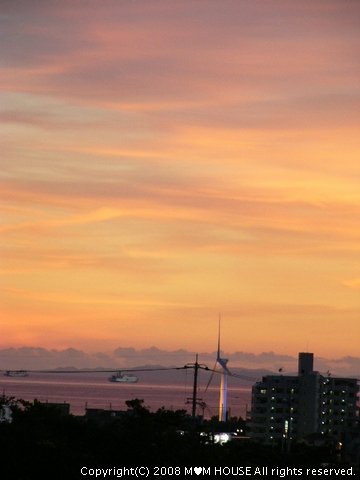 c0139375_1952227.jpg