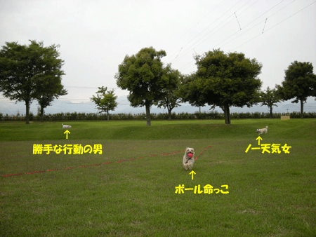 e0066883_17552832.gif