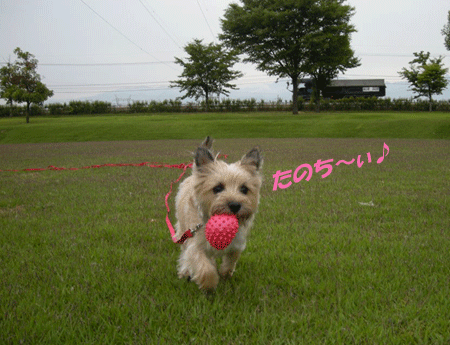 e0066883_180549.gif