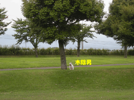 e0066883_183455.gif