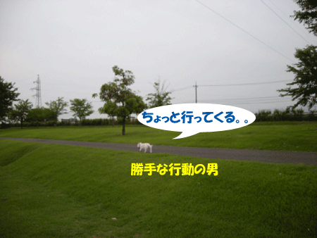 e0066883_1861313.gif