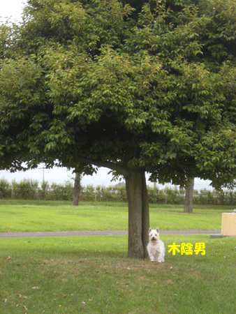 e0066883_188827.gif