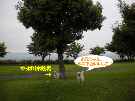 e0066883_1895426.gif