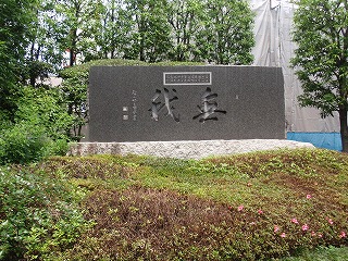 c0105785_9492748.jpg