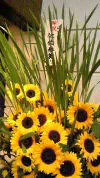 c0063587_0424918.jpg