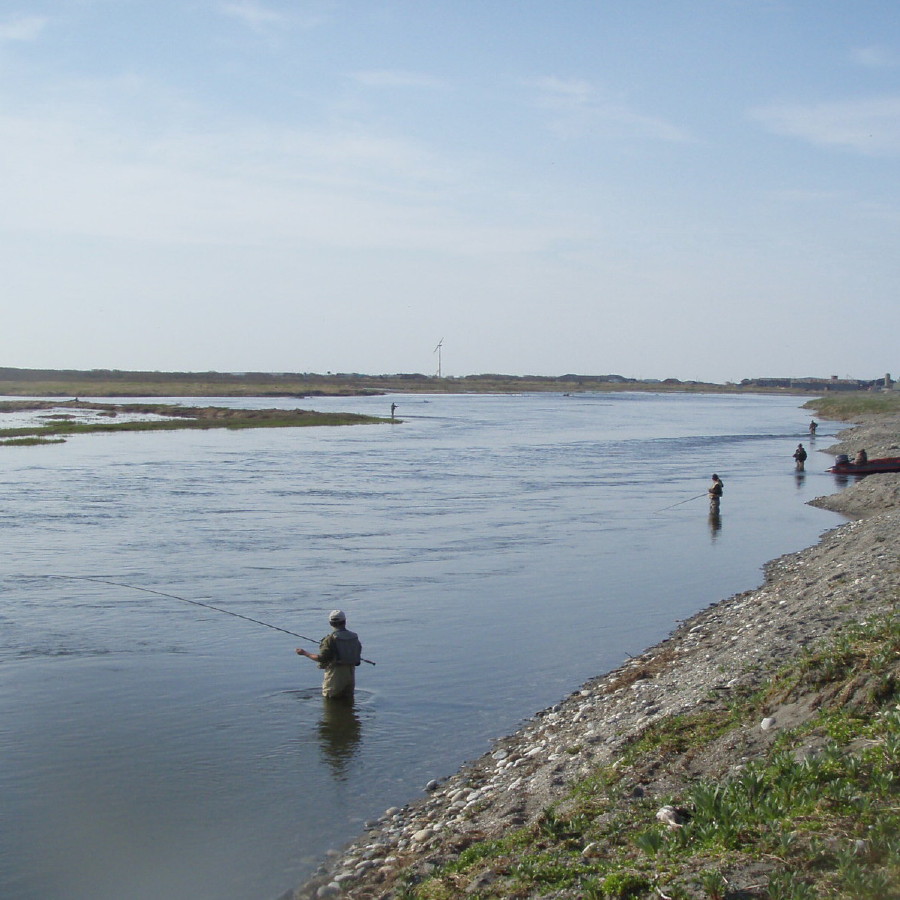 d0127888_19495623.jpg