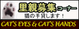 里親募集コーナー