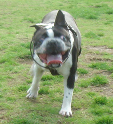 c0094999_16414037.jpg