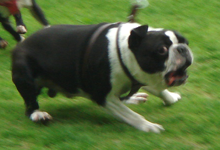 c0094999_1713986.jpg