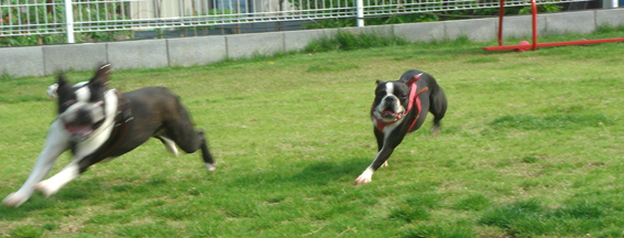 c0094999_17302983.jpg