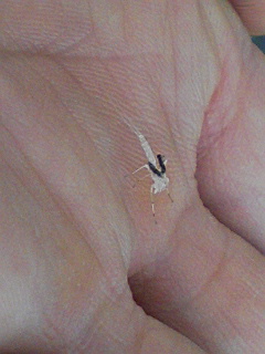 f0164503_23444968.jpg
