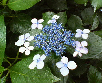 f0036223_882969.jpg