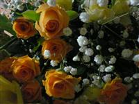 f0067123_12515164.jpg
