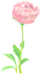 d0002224_23494422.gif